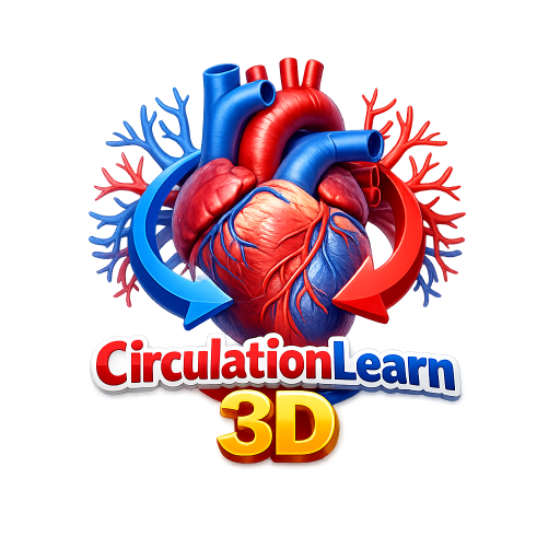 CirculationLearn 3D
