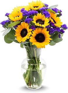 Stargazer Barn Sunflower Fields Bouquet - Vase Included | Fresh Cut Flower Delivery, Hand-Tied in the USA, Gift for Birthday, Anniversary, Sympathy or Home Decor
