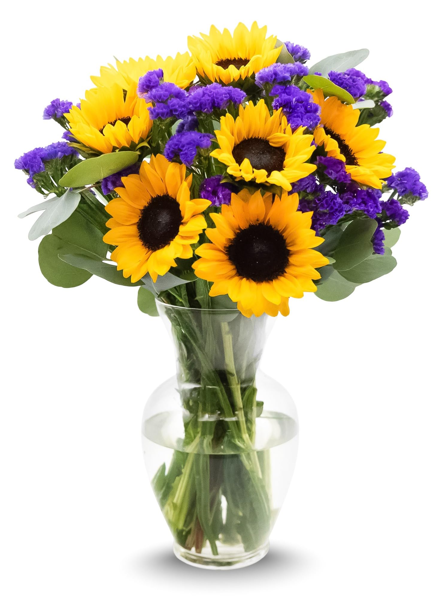 Stargazer Barn Sunflower Fields Bouquet - Vase Included | Fresh Cut Flower Deliv