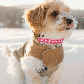 Dog Collar for Small and Medium Dogs, Durable Soft Leather Collar for Girls and Boys, Adjustable Puppy Collar Suitable for Running and Playing