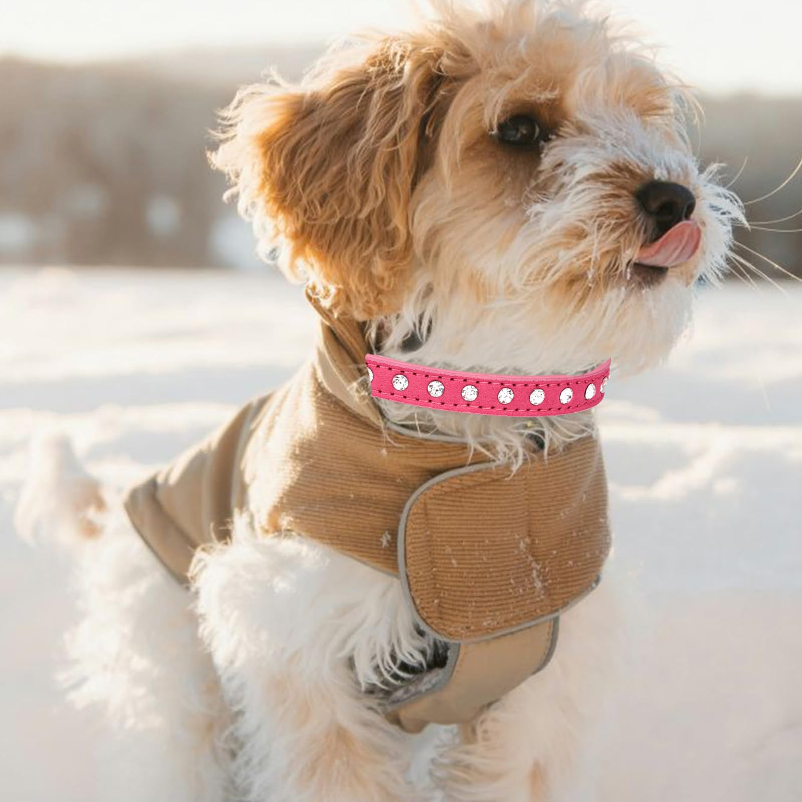 Dog Collar for Small and Medium Dogs, Durable Soft Leather Collar for Girls and 