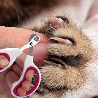 1 x Pet Nail Clipper, Stainless Steel Cat Dog Scissors with Safety Protection, Professional Grooming Tool for Accurate Nail Cutting - Blue