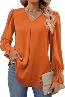 Funlingo Women's 2025 Long Sleeve Tops Dressy Casual V Neck Tunic Shirts Loose Chiffon Work Blouse