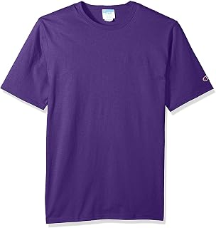 Champion Men's Medium Weight Cotton Round Neck T-Shirt, Seasonal Graphics, Matte