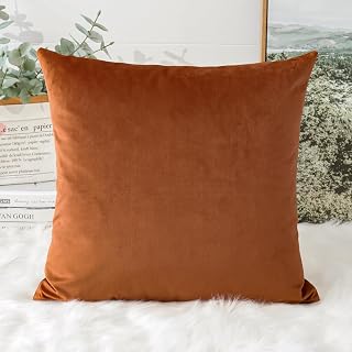 Super Soft Luxury Velvet Decorative Throw Pillow Covers,Square Cushion Cases for Sofa Couch Bedroom Car Decor 22x22 Inch Orange