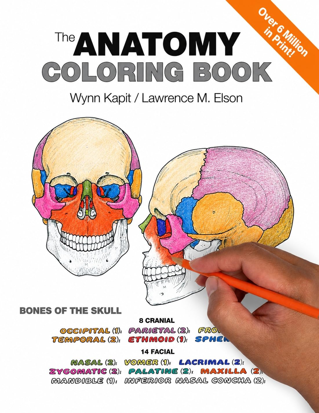 Anatomy Coloring Book, The