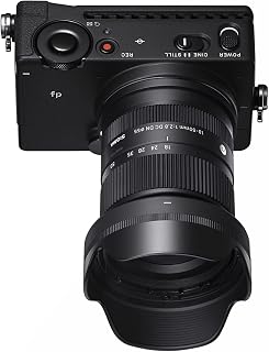 Sigma 18-50mm f/2.8 DC DN Contemporary Lens for Sony E Mount Bundle | 64GB SD Card, Tiffen CPL Filter, Camera Bag, (4 items)