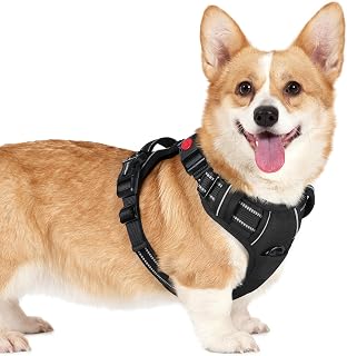 rabbitgoo Dog Harness Small Sized, Updated Easy On & Off with 3 Buckles
