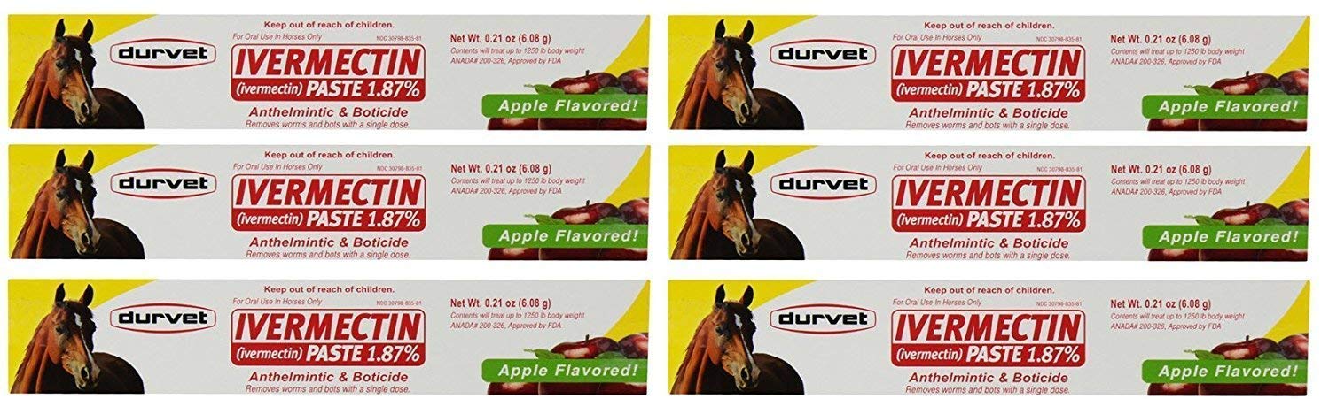 Durvet Paste for Horses 1.87% (0.21 oz)