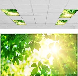 Patelai 4x2 Feet Light Covers for Classroom, Magnetic,Green Leaves | Sky Cloud Print for Office Decor, Drop Ceiling Compatible, 10 Magnets Included, Filters Harsh Fluorescent Lighting