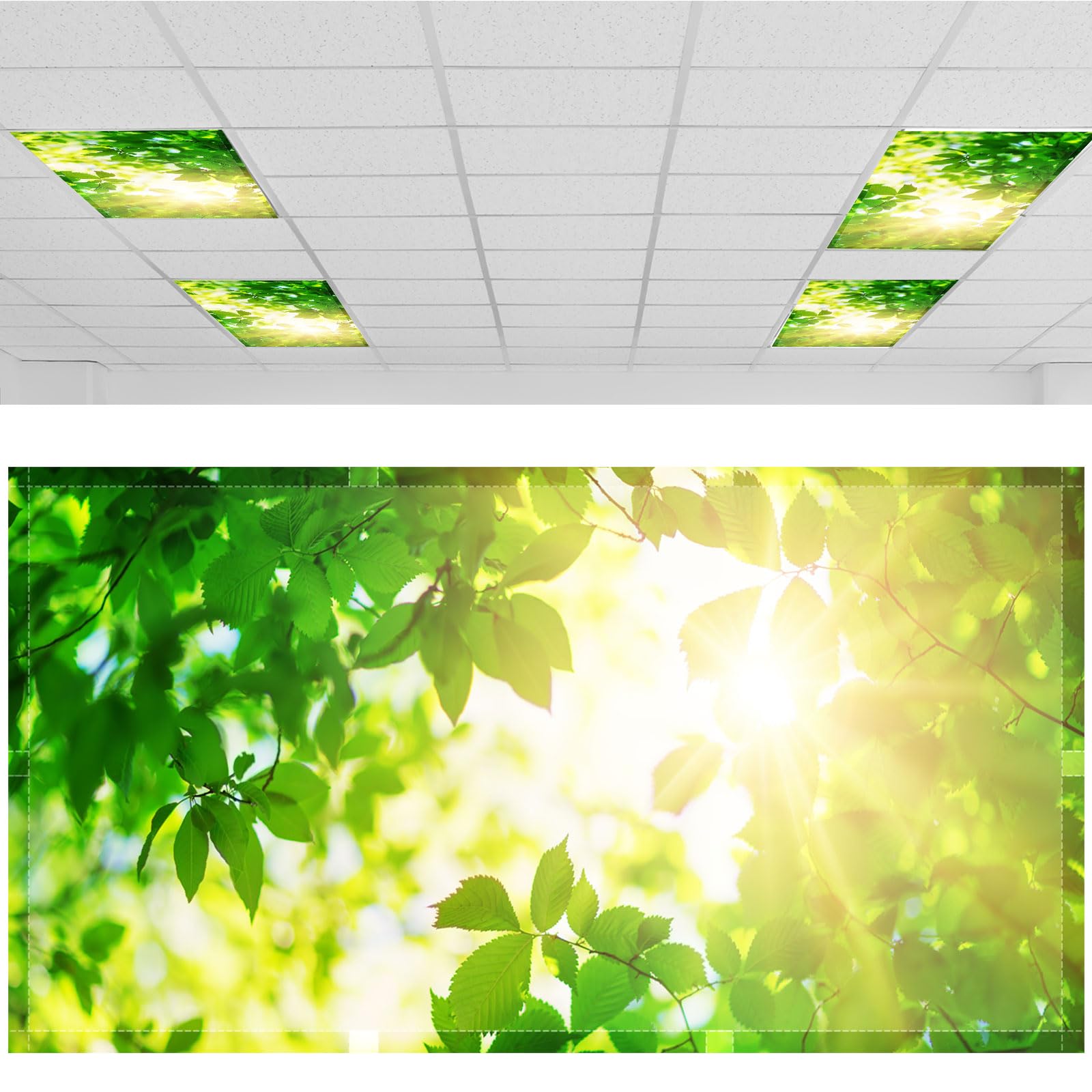 Patelai 4x2 Feet Light Covers for Classroom, Magnetic,Green Leaves | Sky Cloud P