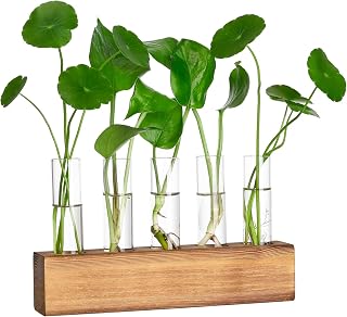Propagation Stations, Plant Terrarium with Wooden Stand, Birthday Gardening Gifts for Women Mom Plant Lovers,Home Office Desk Decor, 5 Glass Test Tubes Vases