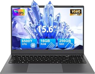 LEOXYN 15.6 Inch Laptop,Pentium Gold 6500Y Processor(Up to 3.4GHz) 16GB RAM 256GB SSD,170°Flip Schermo FHD 1920 * 1080,2*Type-c, 2*USB 3.2,BT 5.0,5000mAh Long-Battery