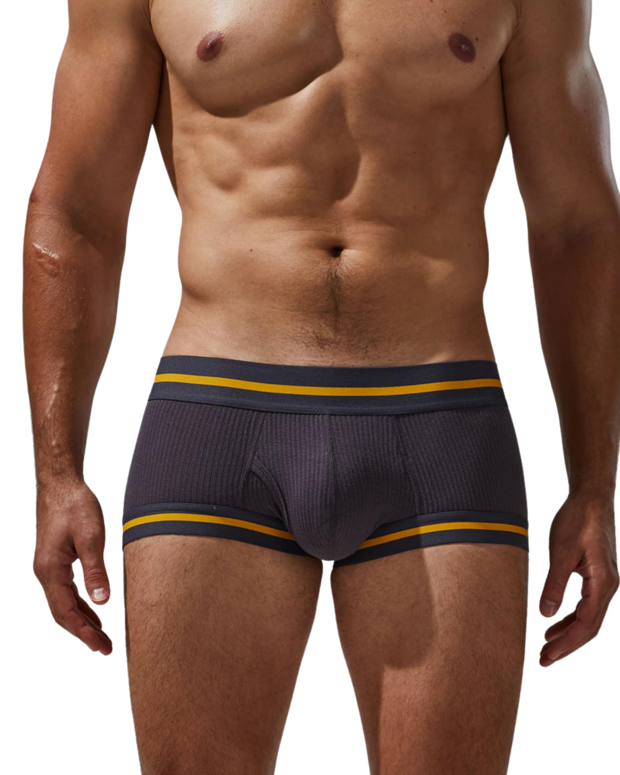 Boxer Taille Basse Sexy en Soie glacée Modal pour Homme