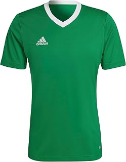 Adidas mens entrada 22 tee