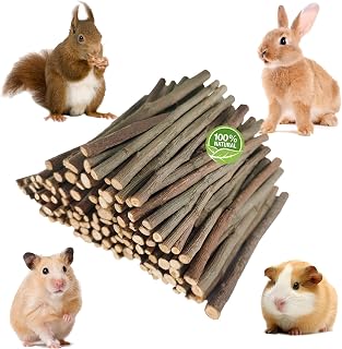 GREMBEB 150g Natural Apple Wood Sticks Rabbit Hamster Chew Treats | Teeth Dental Grinding Guinea Chinchilla Gerbil Parrot Bunny Cages Pocket Halloween Christmas Easter Birthday