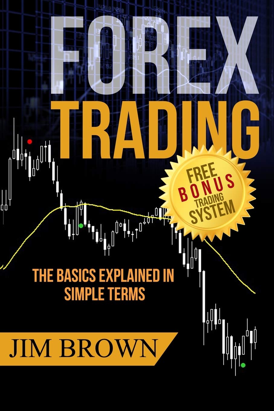 FOREX TRADING: The Basics Explained in Simple Terms (Forex, Forex Trading System