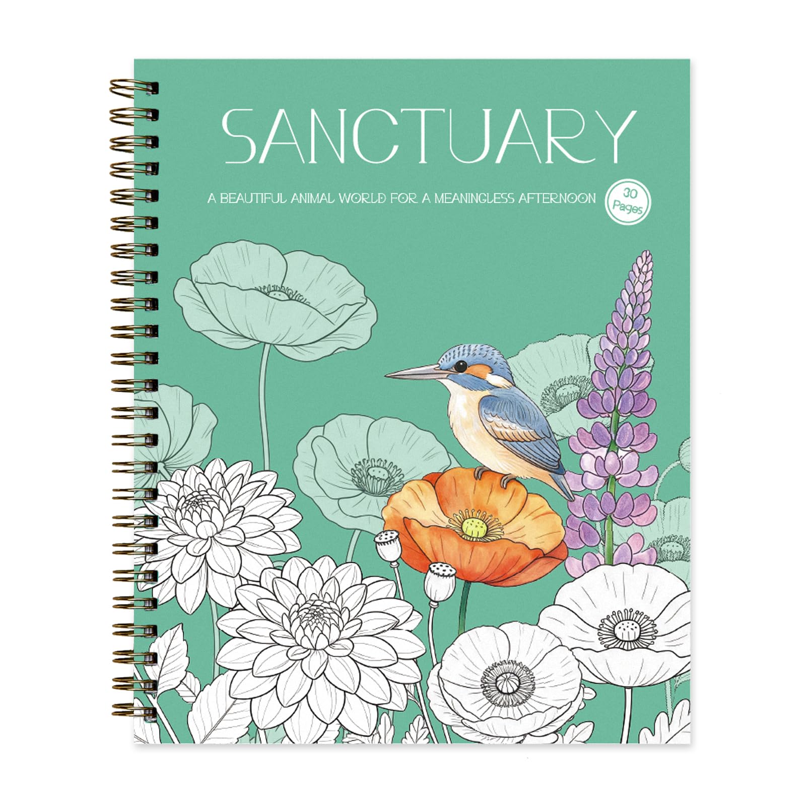 Sanctuary Adults Coloring Books Animal World for Relaxation Woman 30 Pages | Int
