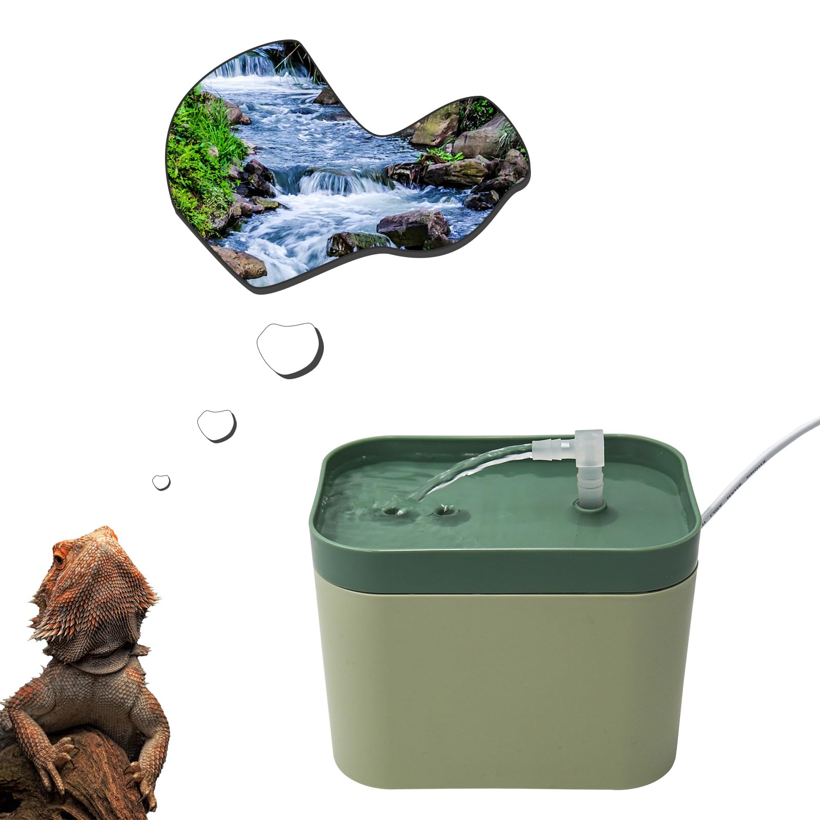 Reptile Water Bowl with Filtration System, Lizard Drinking Fountain, Bearded Dra