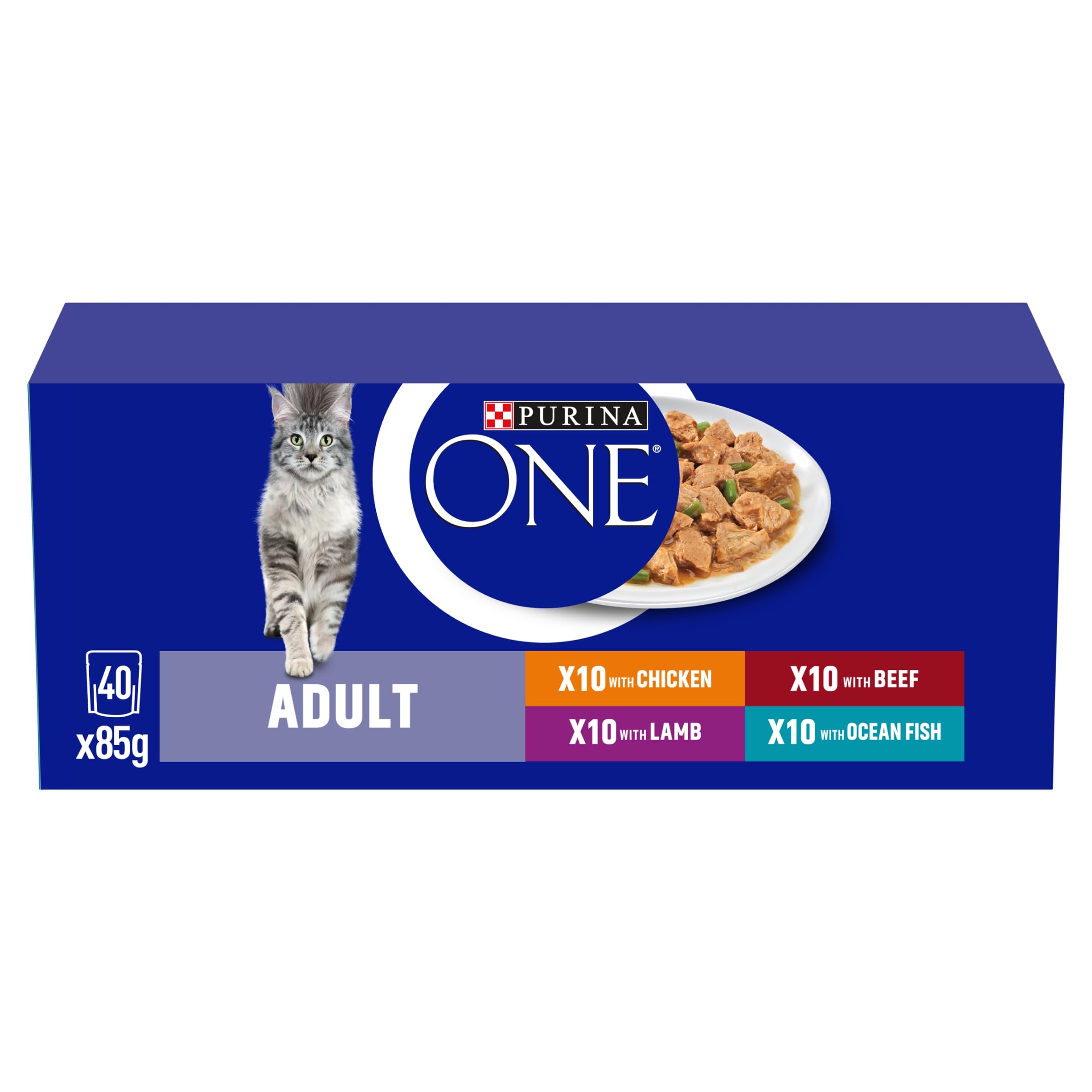 PURINA ONE Mini Fillets Mixed Selection in Gravy Adult Wet Cat Food 40x85g
