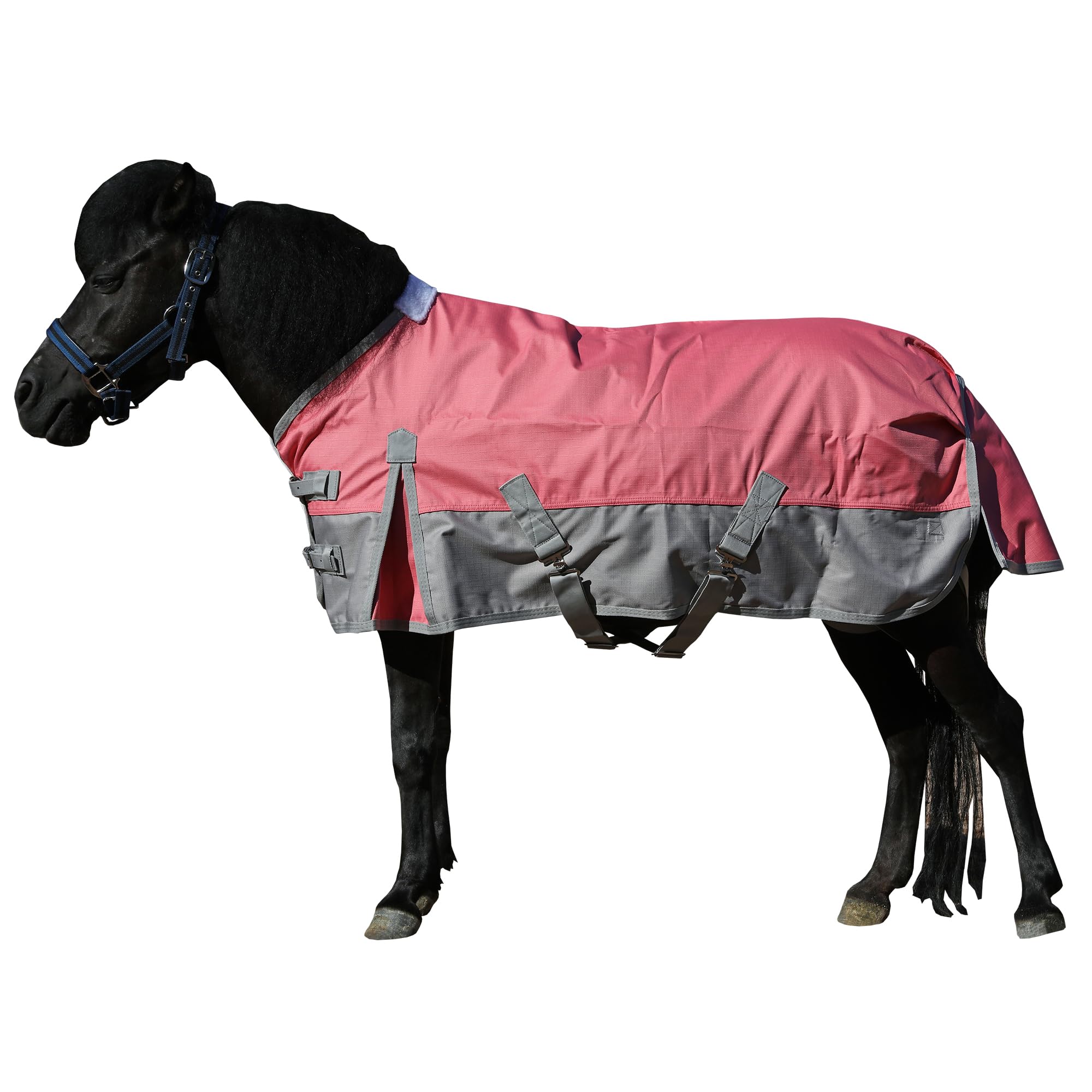 LEAFOREST 1200D Pony Mini Horse Rain Sheet Waterproof Breathable Blanket | Windp