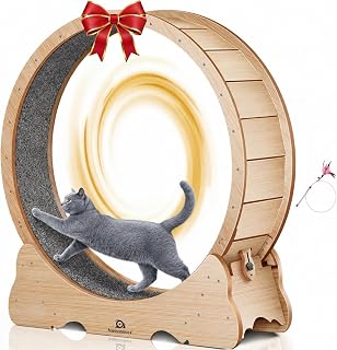 46" XL Large Cat Exercise Wheel, Quiet and Sturdy Running Wheel with Detachable Carpet for Indoor Cats