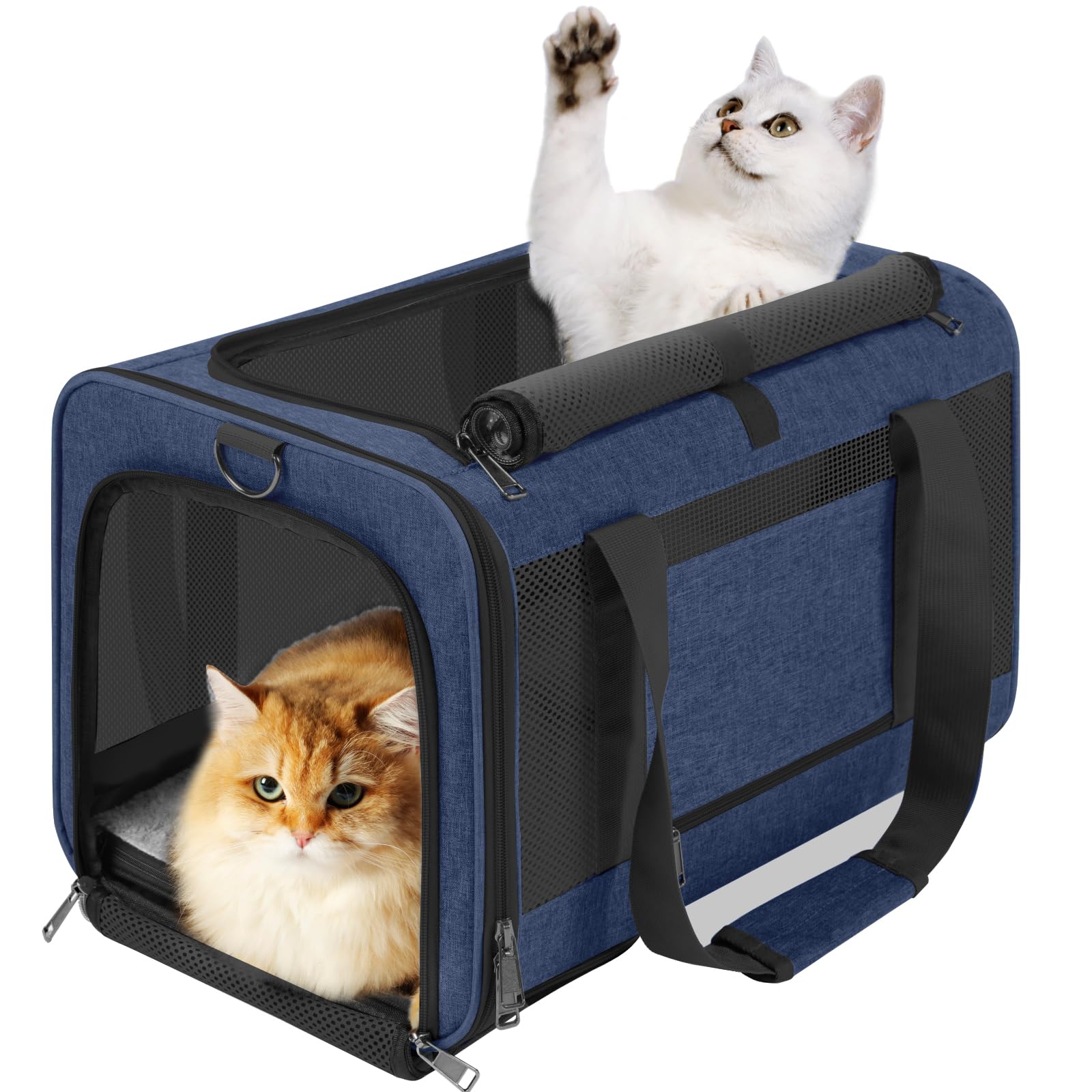 GAPZER Large Cat Carrier Soft, Collapsible Travel Pet Carry Bag, Small Dogs | La