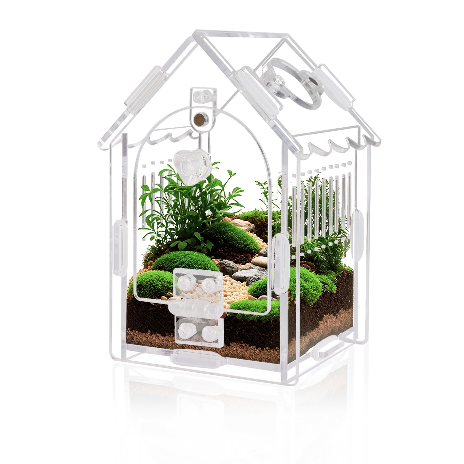Acrylic Jumping Spider Enclosure with Magnetic Lock & Feeding Port | Scratch-res