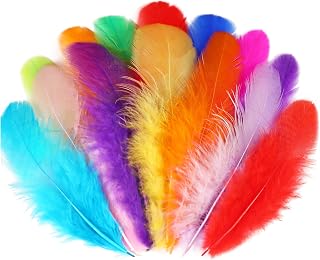 Soarer Colorful Craft Supplies Feathers Bulk for Crafting,300Pcs,3-5inch | Soft Assorted Colored Rooster Feathers for DIY School Crafts,Dream Catchers,Thanksgiving,Christmas Home and Costume Decor