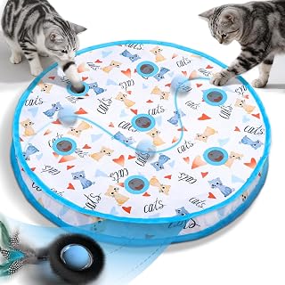 Interactive Cat Toy with Motion Activated Ball & 7-Hole Play Mat, Hide and Seek Exercise Game for Indoor Cats, Automatic Moving Cat Ball in Pouch, Rechargeable Cat Toys(No Cat No Life)