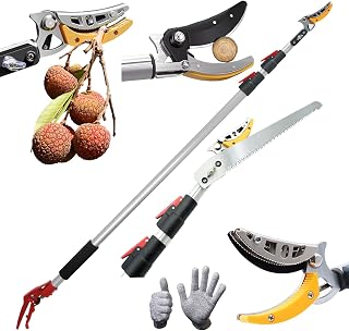 High Branch Cutting Scissors, Telescopic, Sk5 Premium Alloy Steel, 2 Tiers, 3 Tiers, 6.6 ft (2 m, 3 m, 4 m, 5 m), Lightweight, Saw Included, Lock Included, Fruit Removal, High Branch Cutting Shears, High Branch Saw, Pruning, Thick Branches, Scissors, Gardening, Harvesting, Commercial Use, No Replacement Blades M (3-step extendable) )