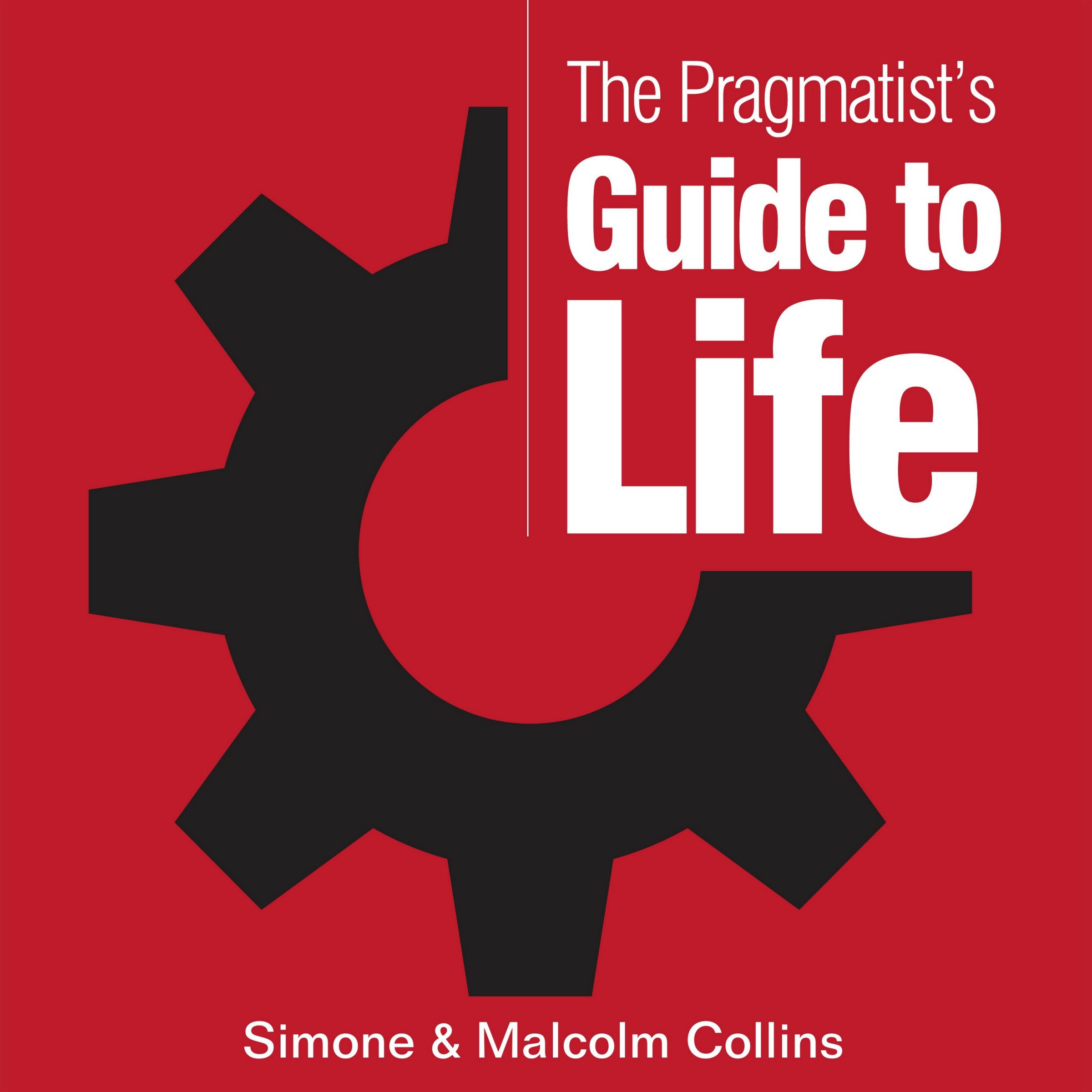 The Pragmatist's Guide to Life: A Guide to Creating Your Own Answers to Lif
