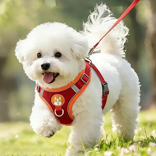 Dog Harness with Leash for Small Dogs, Medium Dogs, Cute Bear Pattern, Soft Breathable Mesh Adjustable Pet Harness, Easy to Wear Comfortable Dog Vest for Daily Walking(Red,M)