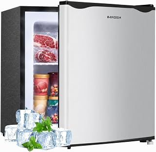 BANGSON 1.1 Cu.ft Upright Mini Freezer for Dorms Apartment, Silver | Compact Freezer with Removable Shelf, Energy Saving Small Freezer Reversible Door, Low Noise for Bedroom