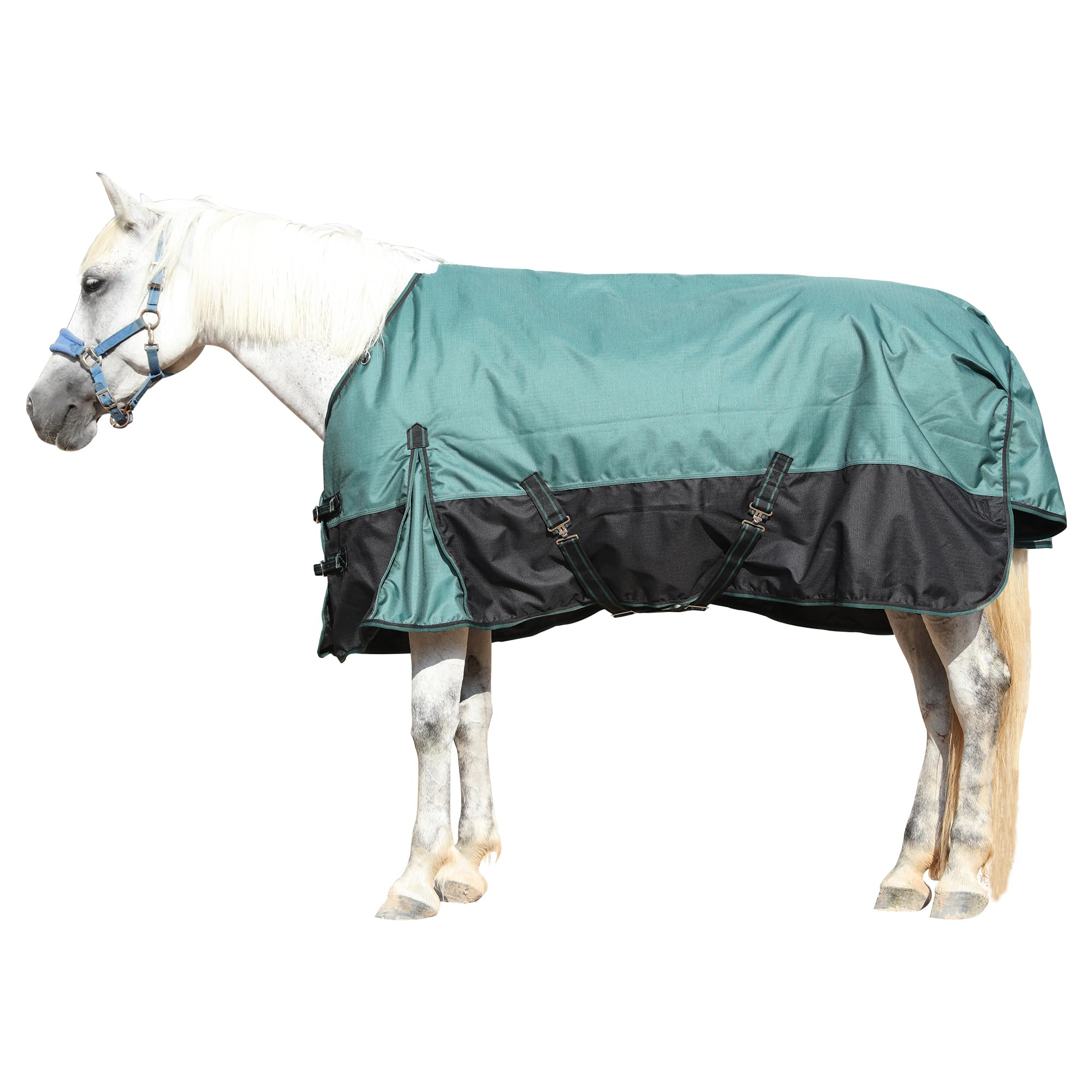 Gallopoff 1200D Horse Blanket, 200g Medium Weight Waterproof Winter Turnout | 12