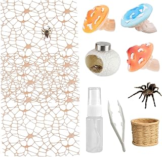 9 Pcs Jumping Spider Enclosure Accessories Set for Exploration Climbing | Jumping Spider Accessories Magnetic Mounts Feeder Dish Mushroom Platform Web Decor for Small Reptile Enclosure Decoration