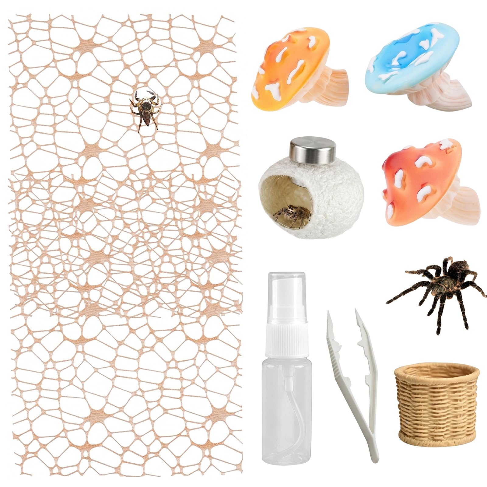 9 Pcs Jumping Spider Enclosure Accessories Set for Exploration Climbing | Jumpin