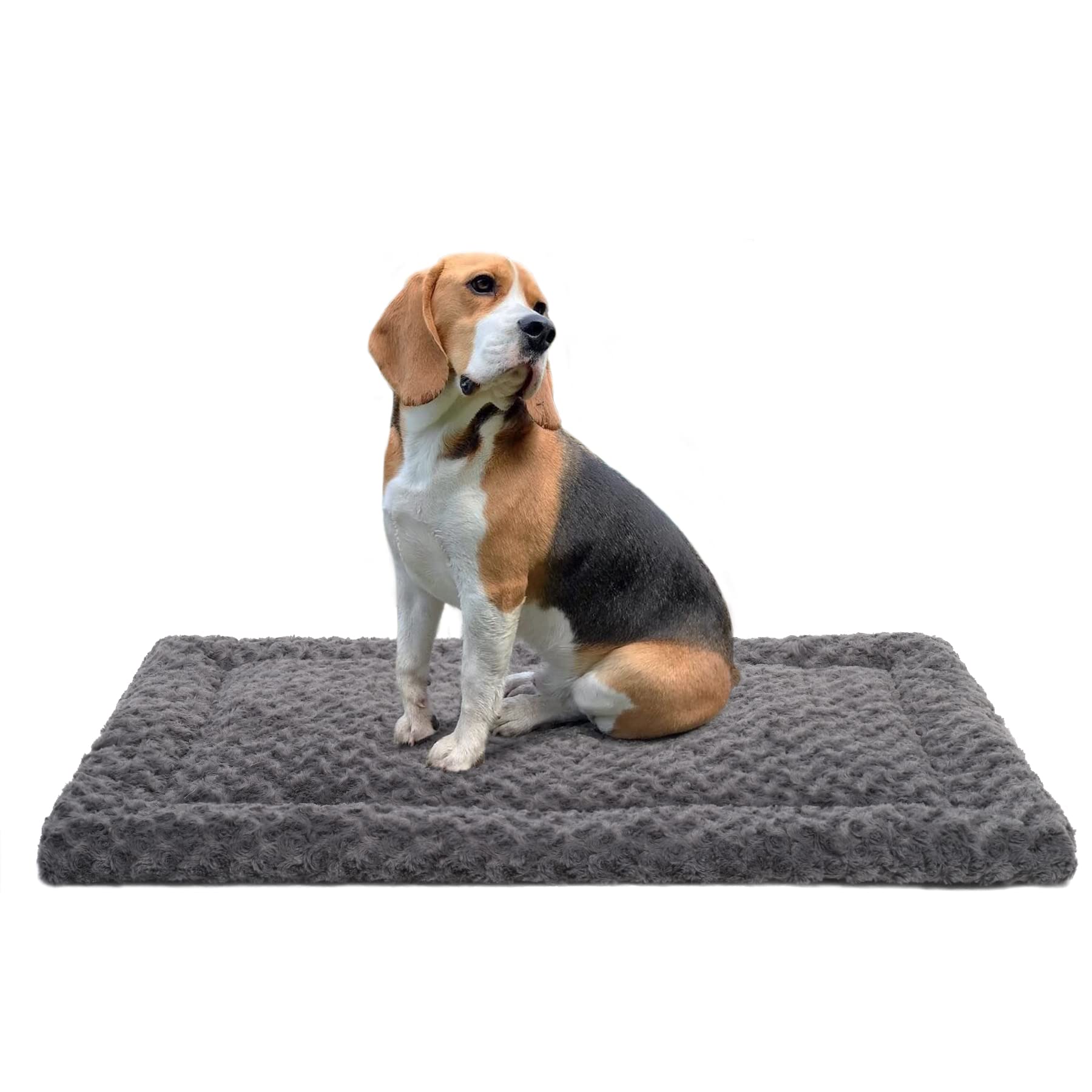 Exsnugy Washable Dog Bed Mat Medium Size Fluffy Pet Crate Pad 36x23 | Non-Slip B
