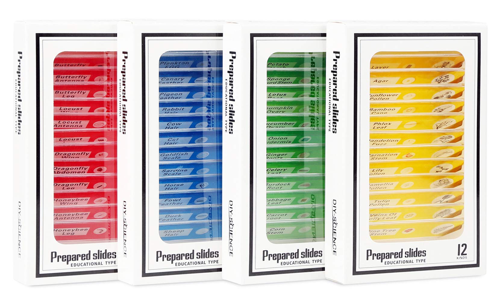 48 Prepared Microscope Slides Set of Animals Insects Plants Flowers, Biological 