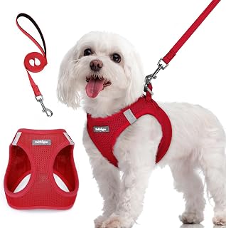 rabbitgoo Small Dog Harness and Lead Set, Step-in Soft Mesh Puppy Harness