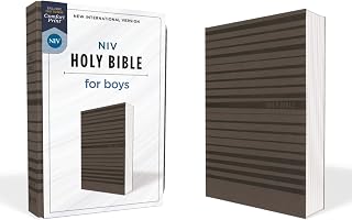 NIV, Holy Bible for Boys, Soft Touch Edition, Leathersoft, Gray, Comfort Print