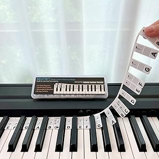 BEATBIT Piano Note Guide for Beginners, Removable, Black | Silicone alternative to piano keyboard stickers, reusable piano key labels, for 88/61 keys, no adhesive, storage box included