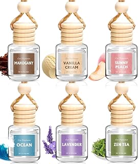 AROIC 6Pack Car Air Freshener, Hanging Essential Oil Air Freshener Diffuser | Long-Lasting Fragrance Odor Eliminator, Cute Car Interior Decor Auto Car Scents Accessories Gifts for Women & Men