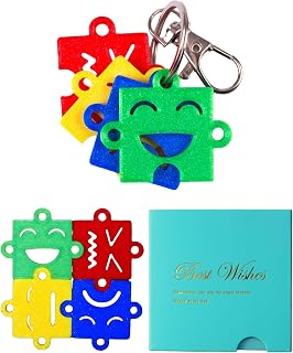 Emotional Regulation Keychain: 4 Color-Coded Mood Zones for Calm & Focus | Anxiety & stress relief. Puzzle-shaped visual learning resource. Calm carry.