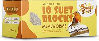 Suet Shop - Mealworm Suet Blocks for Wild Birds, 300g (Pack of 10) - Enriched with Human Grade Beef Tallow, High in Energy & Protein - All-Season Bird Feed - Manufactured In The UK