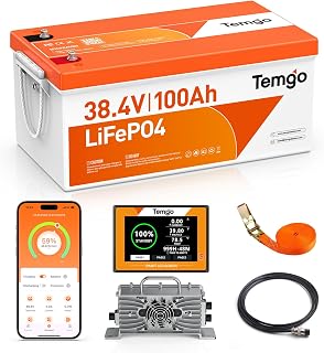 TEMGO 36V (38.4V) 100Ah LiFePO4 Lithium Golf Cart Battery | LCD Display & Bluetooth, 200A BMS 600A Peak Power, 7.68kW Power Output, IP65, Low Temp Protection, 42.6V 20A Charger