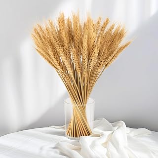 Sukh 100 Stems Dried Wheat Stalks - Boho Fall Decor for Home & Wedding | Natural Wheat Sheaves, Ideal Vase Filler, Table Centerpiece for Thanksgiving, Harvest, Autumn Farmhouse Accent, 12.9in