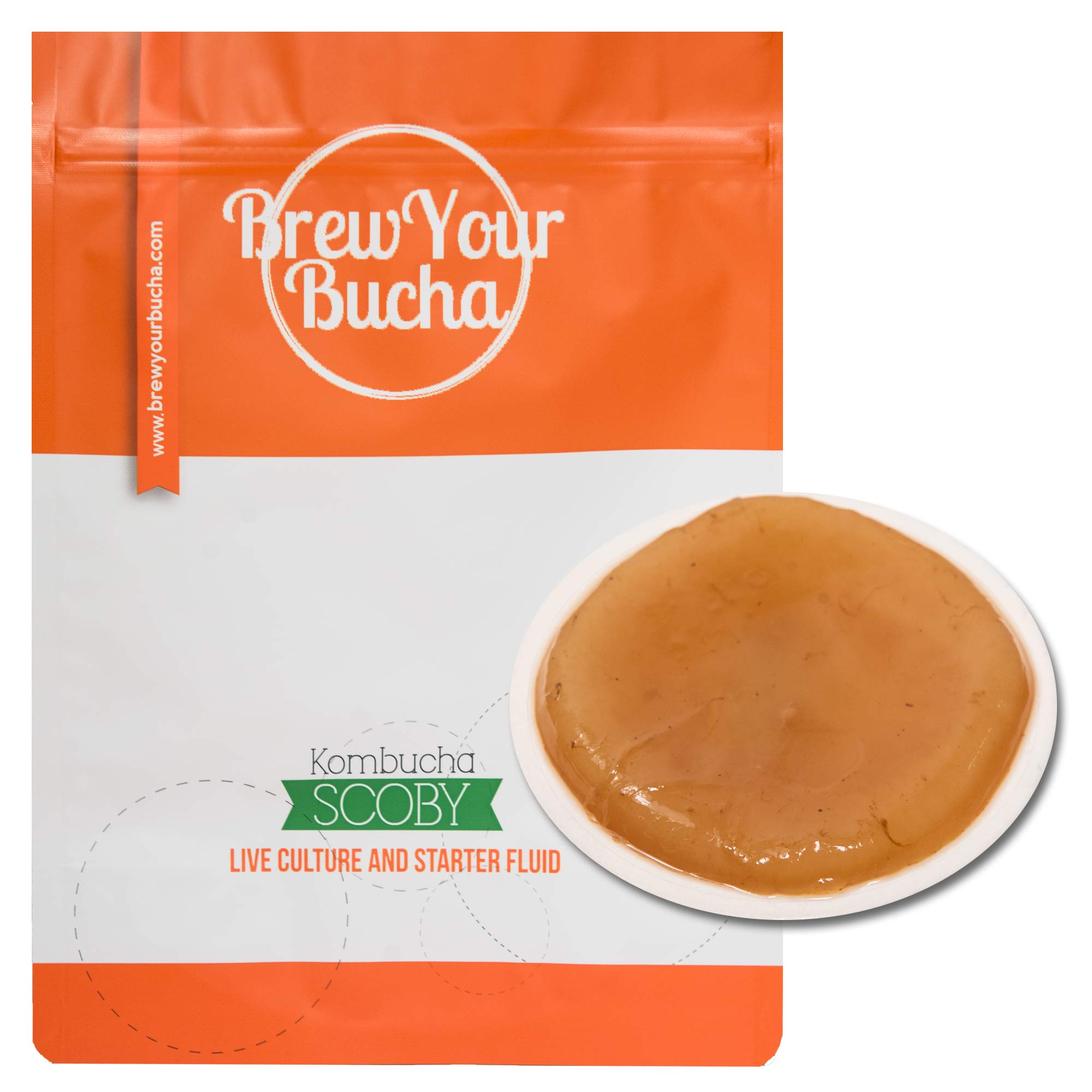 Brew Your Bucha Kombucha Scoby with Starter Fluid | Kombucha Starter Kit with Sc