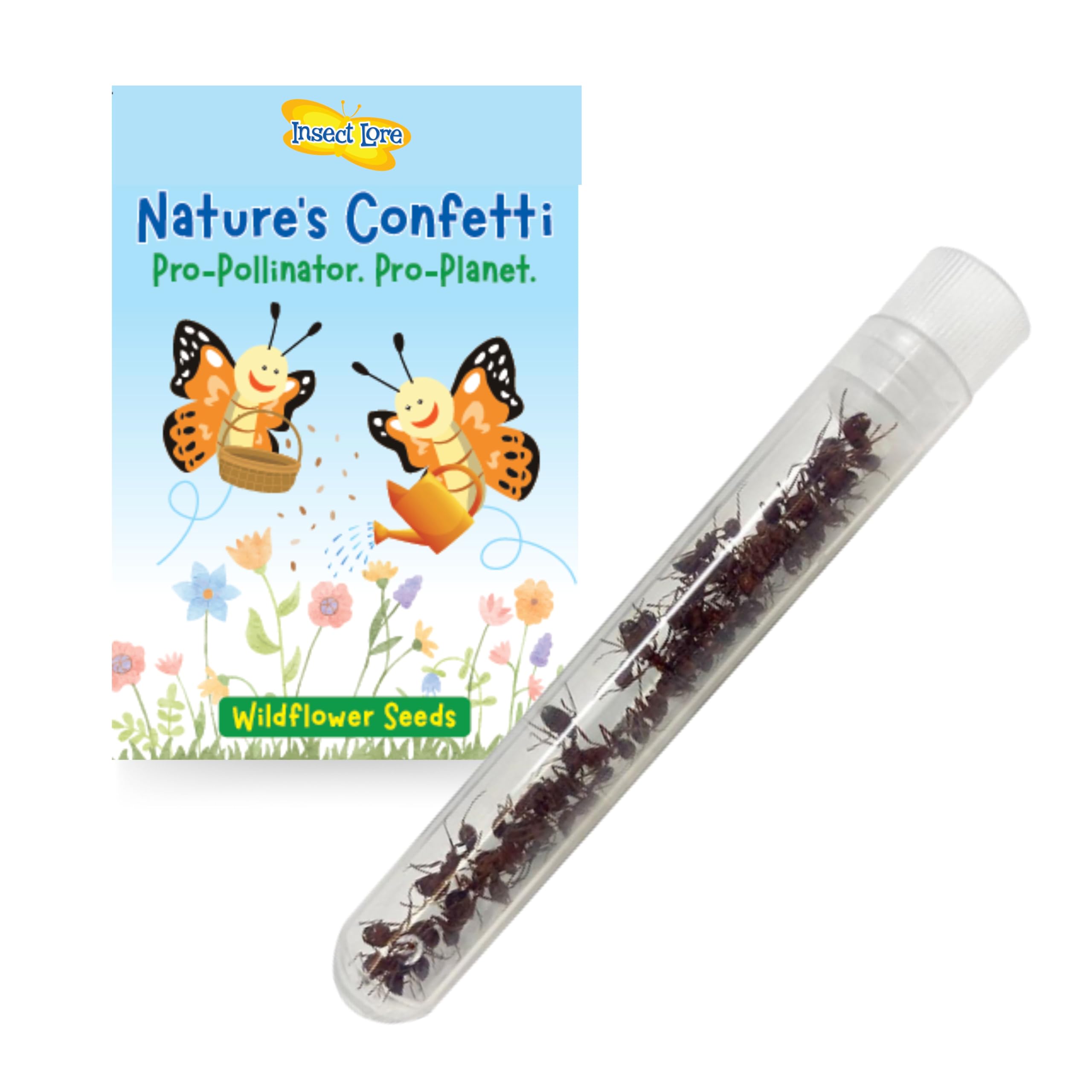 Insect Lore 25 Harvester Ants - Refill for Ant Habitat Science Kit - Native Live
