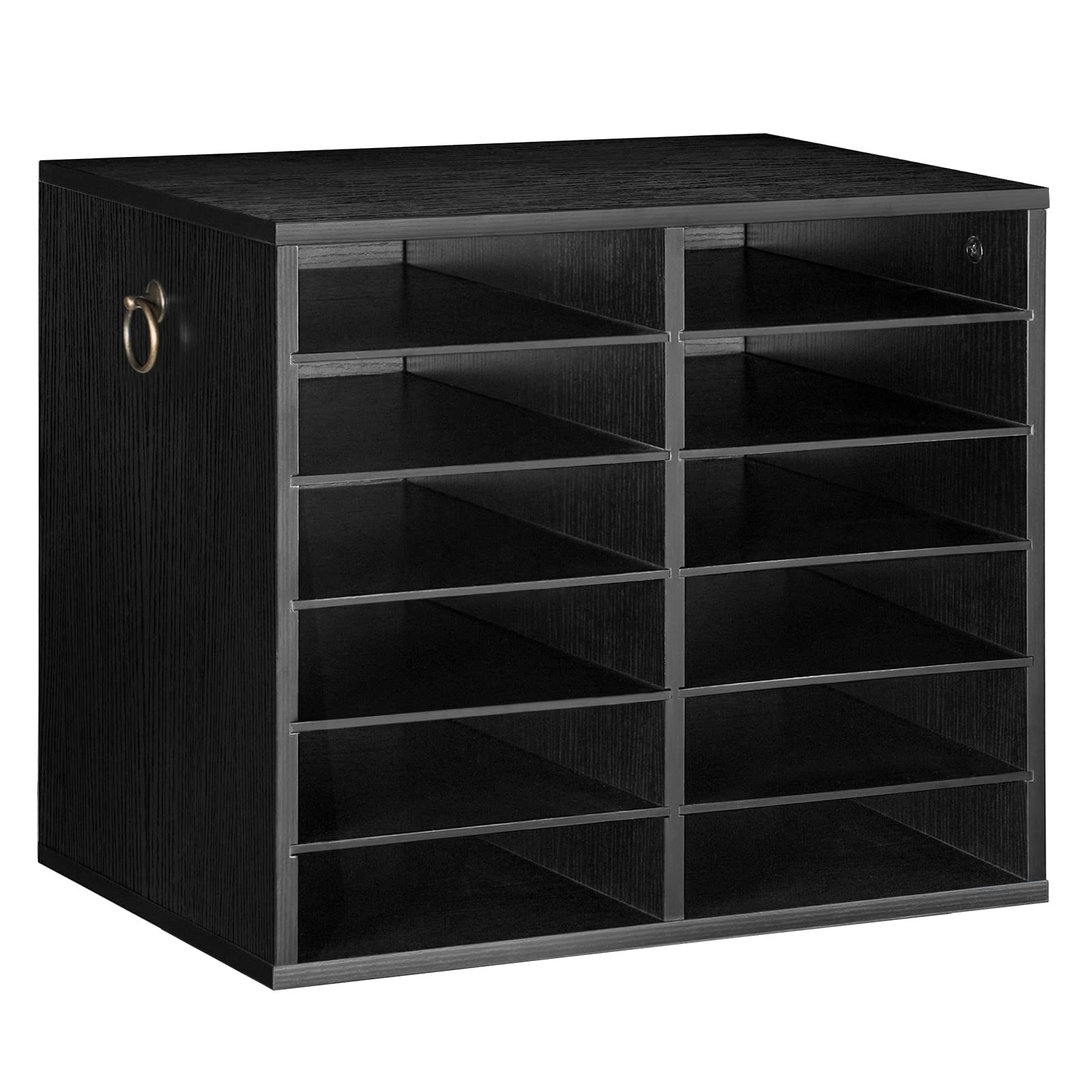 HOOBRO Literature Organizers, 12 Compartments Office Mailbox with Adjustable She